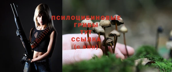 эйфоретик Надым