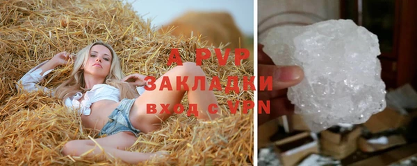 эйфоретик Надым